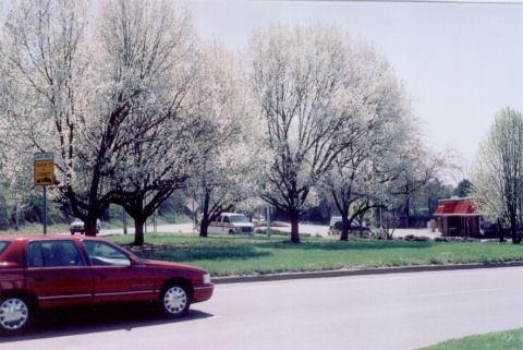 35-40 mph